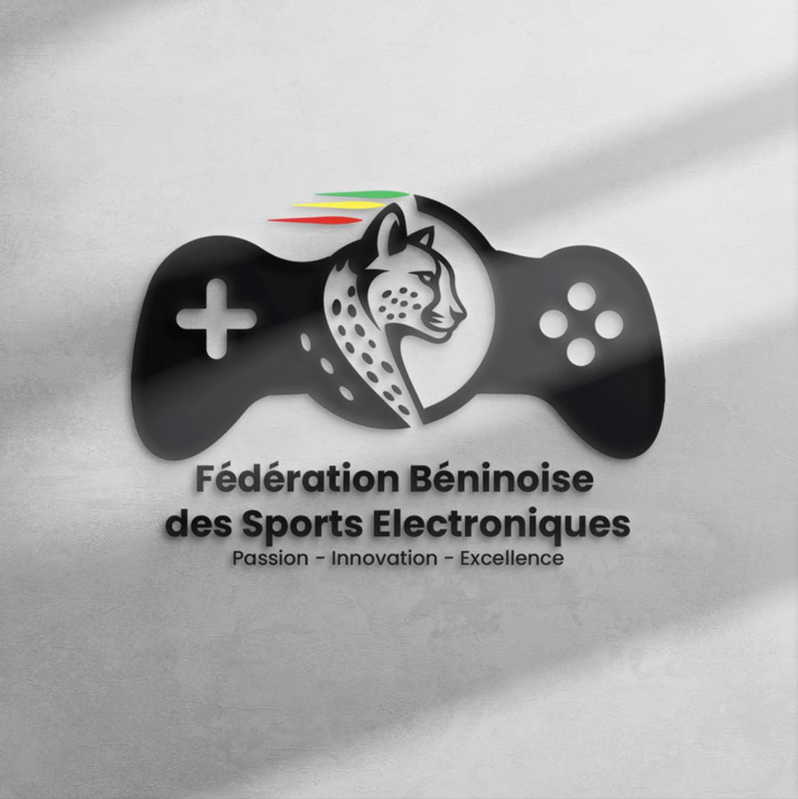 FBSE logo - partenaire Arts & Sport Events